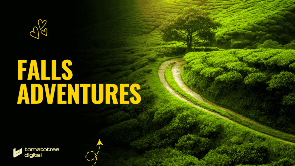 falls adventures case study local seo